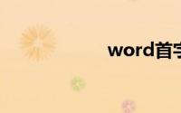 word首字下沉2行