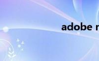 adobe reader x