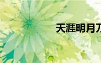天涯明月刀手游pc版