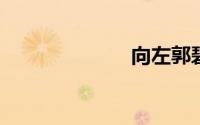向左郭碧婷综艺