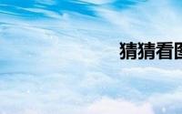 猜猜看图片大全