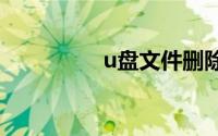 u盘文件删除后怎么恢复