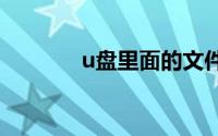 u盘里面的文件不显示怎么办