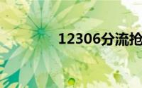 12306分流抢票软件怎么用