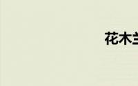 花木兰台词
