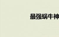 最强蜗牛神龙许愿攻略