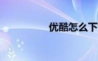 优酷怎么下载mp4格式