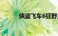 侠盗飞车6狂野之城下载中文版