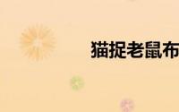 猫捉老鼠布陷阱中文版