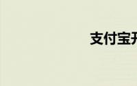 支付宝开放平台