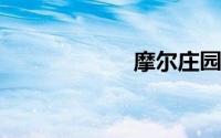 摩尔庄园手游鲨鱼