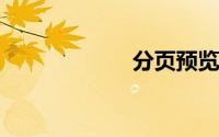 分页预览怎么设置