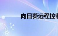 向日葵远程控制软件使用教程