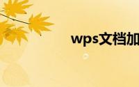 wps文档加密怎么设置