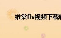 维棠flv视频下载软件官方免费下载
