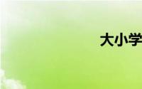 大小学转换器