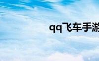 qq飞车手游体验服官网
