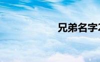兄弟名字2人霸气的