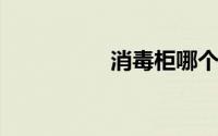 消毒柜哪个牌子质量好