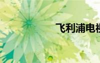 飞利浦电视机怎么样