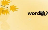 word输入法不显示