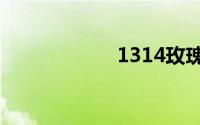 1314玫瑰小镇登录
