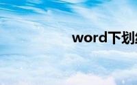 word下划线怎么输入