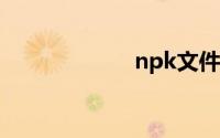 npk文件怎么打开