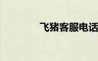 飞猪客服电话人工服务电话
