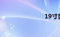 19寸显示器