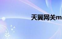 天翼网关mac地址过滤