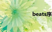 beats序列号查询