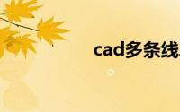 cad多条线段测量总长