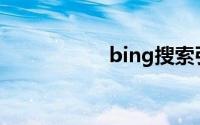 bing搜索引擎国际版