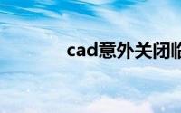 cad意外关闭临时文件保存在