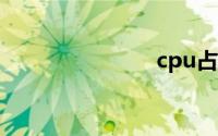 cpu占用过高