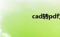 cad转pdf文字不显示