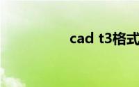 cad t3格式是什么意思