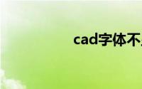 cad字体不显示怎么办