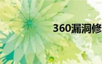 360漏洞修复下载失败