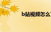 b站视频怎么下载到电脑上