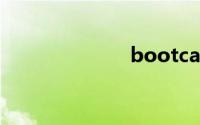 bootcamp官网