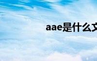 aae是什么文件如何打开