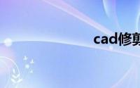 cad修剪快捷键