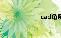 cad角度快捷键