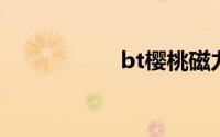 bt樱桃磁力迅雷下载