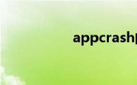 appcrash的解决方法