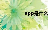 app是什么意思怎么用