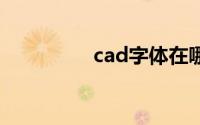 cad字体在哪个文件夹里
