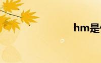 hm是什么门